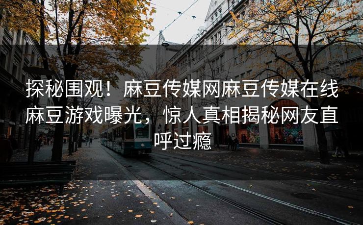 探秘围观！麻豆传媒网麻豆传媒在线麻豆游戏曝光，惊人真相揭秘网友直呼过瘾