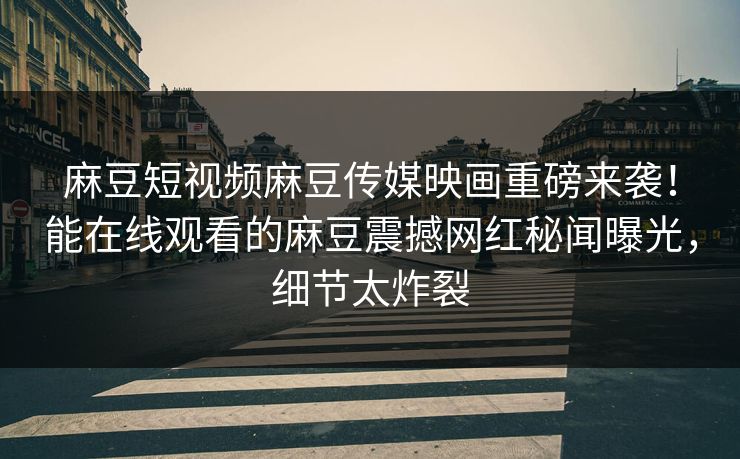 麻豆短视频麻豆传媒映画重磅来袭！能在线观看的麻豆震撼网红秘闻曝光，细节太炸裂